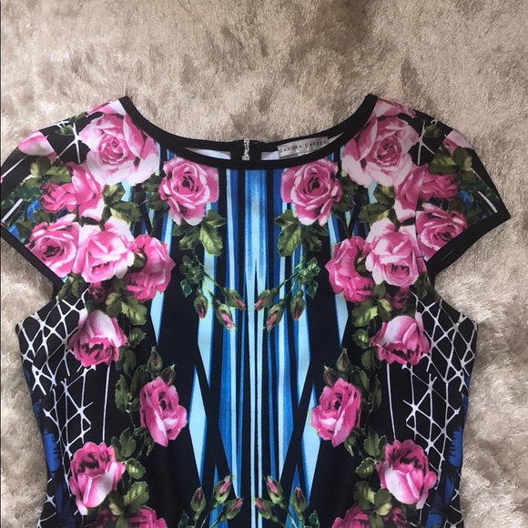 Sandra Darren scuba fitted dress - Picture 3 of 10